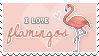iloveflamingos